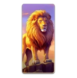 Lion
Safari